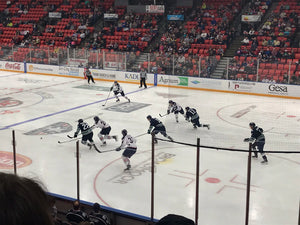 Rivalries in Hockey Beyond the Ice and Stick Blades