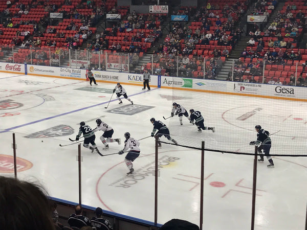 Rivalries in Hockey Beyond the Ice and Stick Blades