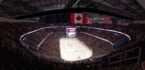 The Business of Hockey Revenue Streams Explained