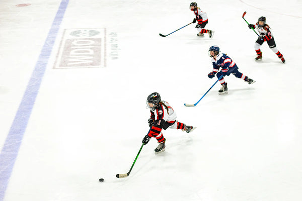 Youth Hockey Development Programs Shaping Future Stars