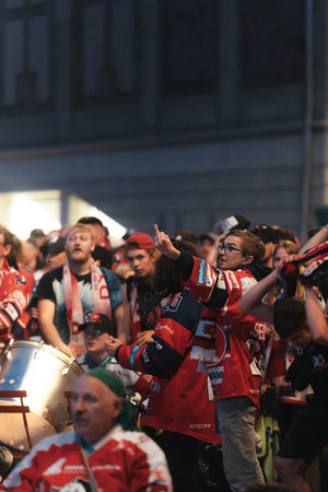 The Passionate Role of Fans in the Hockey Experience