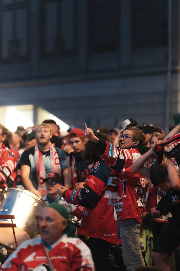 The Passionate Role of Fans in the Hockey Experience