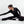 Swift Sculpting Zip-up